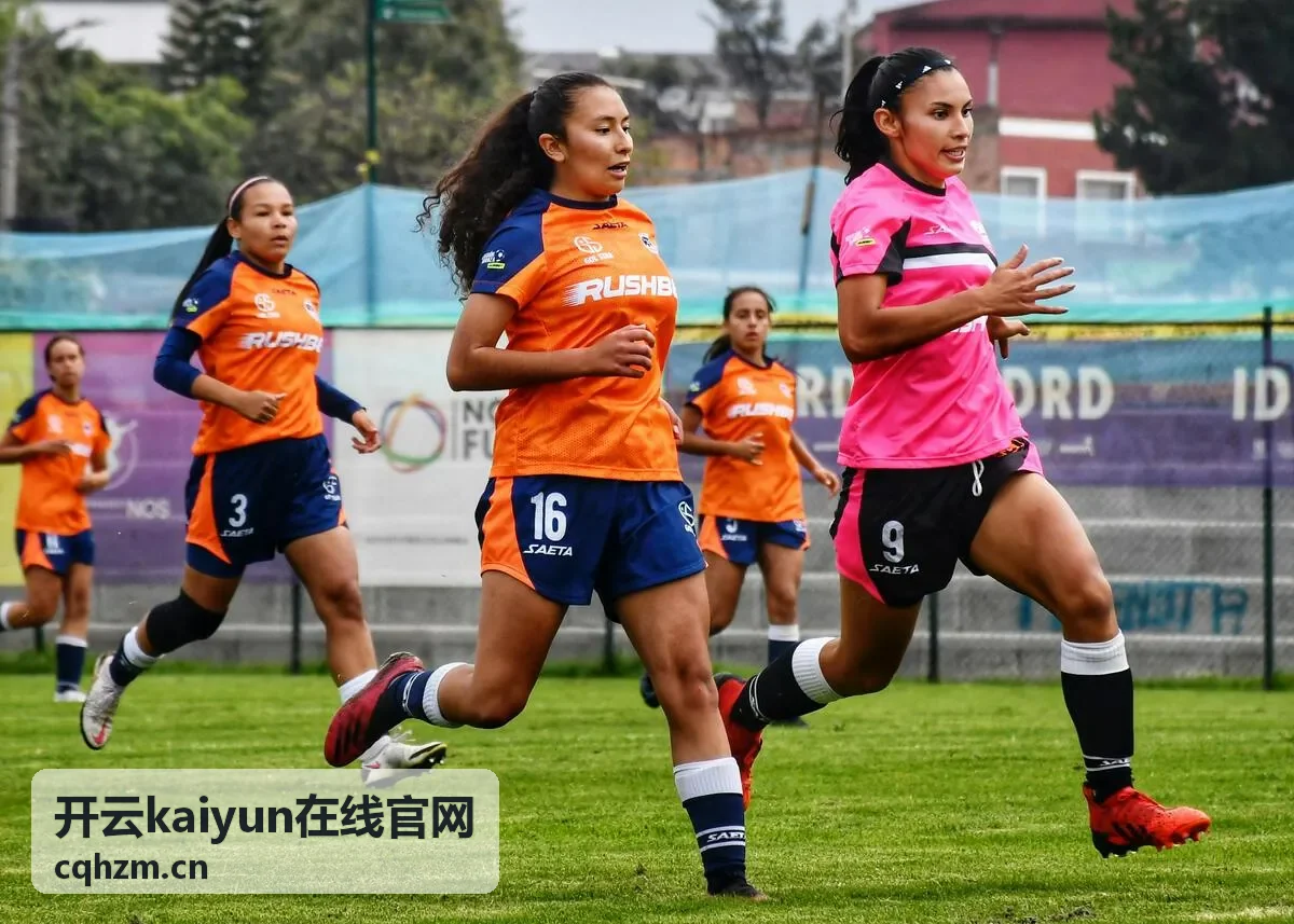 开云kaiyun在线官网人工支持服务路线提交问题