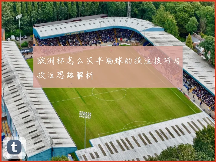 欧洲杯怎么买半场球的投注技巧与投注思路解析