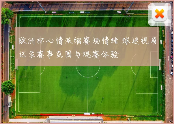 欧洲杯心情浓缩赛场情绪 球迷视角记录赛事氛围与观赛体验