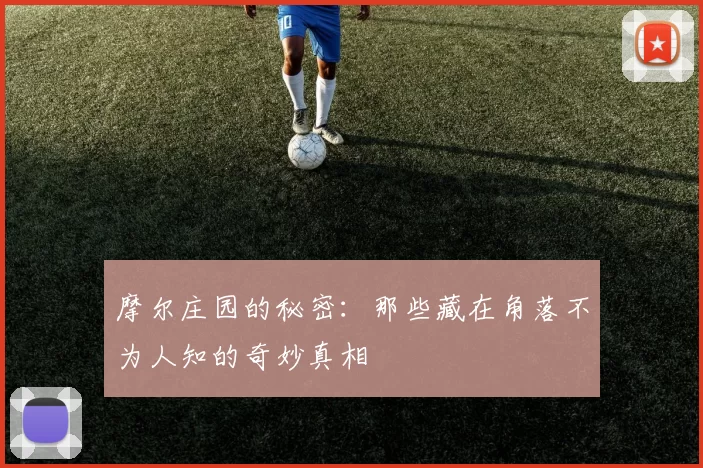 摩尔庄园的秘密：那些藏在角落不为人知的奇妙真相