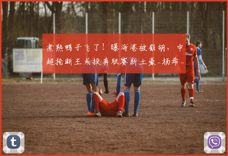 煮熟鸭子飞了！曝海港被截胡，中超抢断王或投奔联赛新土豪_杨希_上海_浙江队